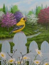 Art, Goldfinch, Original, Painting,Flowers,Landscape, Pink, Bird, Stream,Creek 