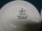 Vermillion Rose Limoges Saucer 22K Pattern Set Of 9  Vintage Triumph American — photo 7