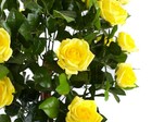 Bild 23 von 30
