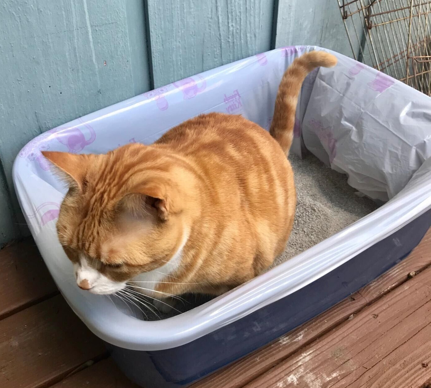 Liners Pet Easy Clean
