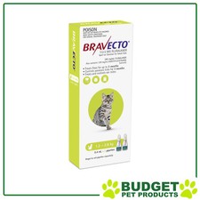 Bravecto Spot On For Cats Green 1.2-2.8kg 2 Pack
