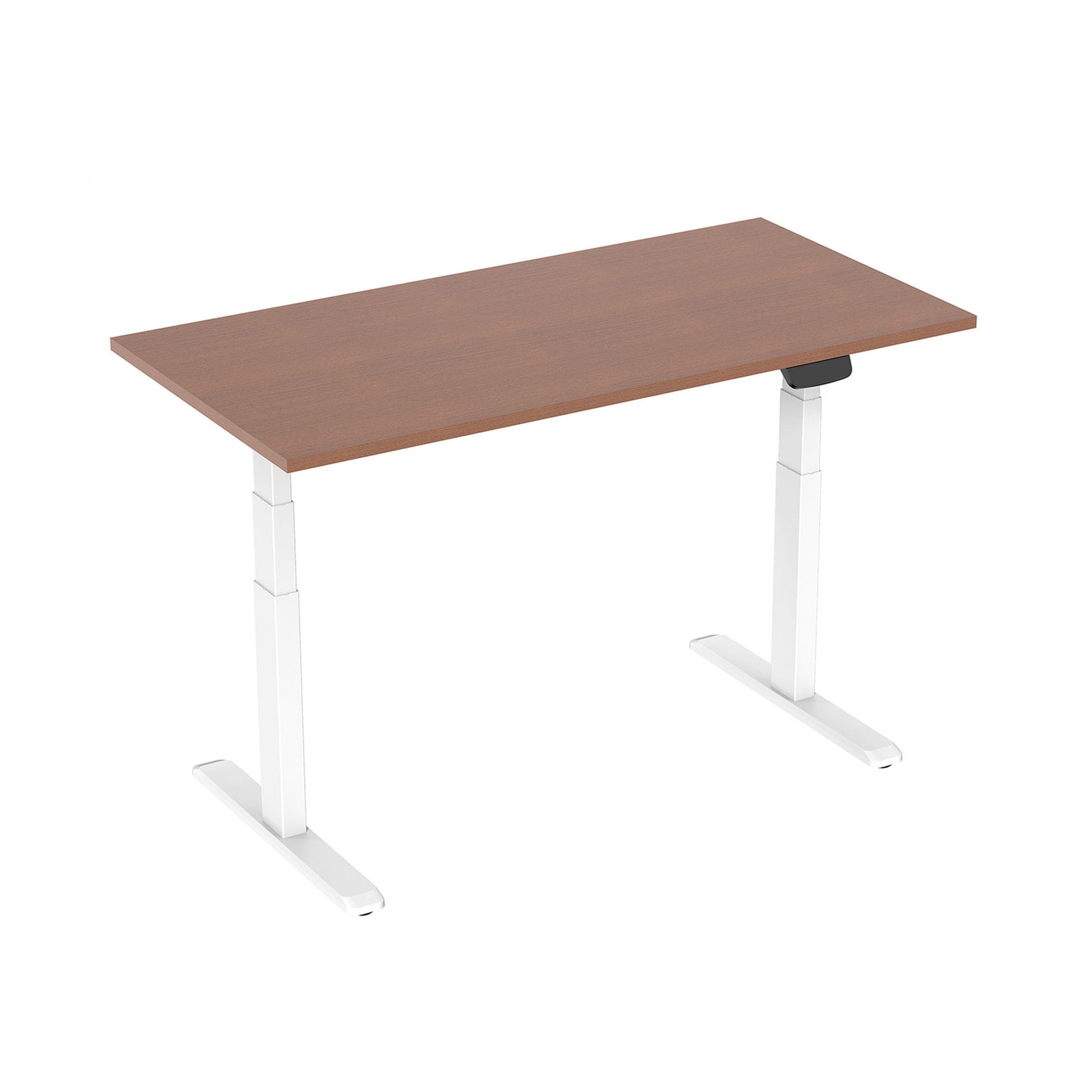 Bureau motorisé assis-debout en noyer premium blanc 150x75