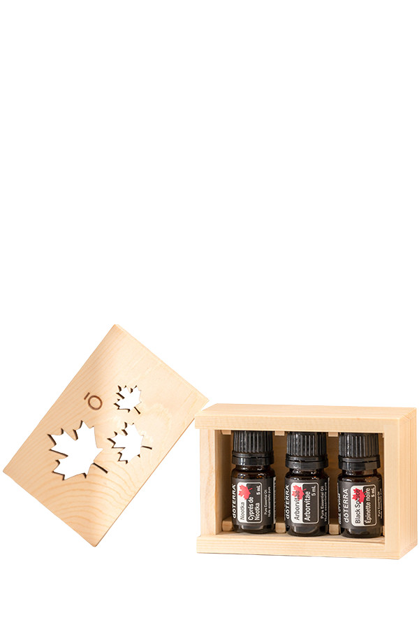 S Collection Majesty Home Exclusive Trio Little Piece 3pcs N