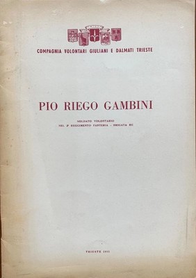 Pio Riego Gambini. Freiwilliger Soldat im 2. Infanterieregiment Brigade KÖNIG 1955
