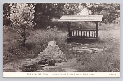 White Pines Forest State Park The Wishing Well Illinois C. R. Childs Co Postcard