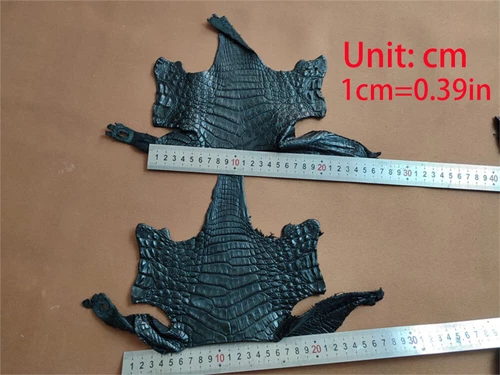 Real Crocodile Skin Hide Alligator Leather Exotic Pelt Craft DIY Material Strap - Picture 4 of 17