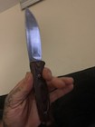 Hunting Fixed Blade Knife, 3-3.49in Silver Clip Point Combo Serrated Edge — photo 1
