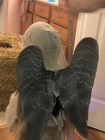 Spirit Halloween Grim Graven Angel retired Halloween Animatronic W/box — photo 6