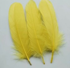 10 pieces Hard Goose Feathers Millinery & Crafts 12-18cm Yellow