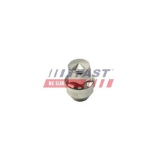 Radmutter Fast FT21601 für Tesla Ford Ford Usa Hinterachse