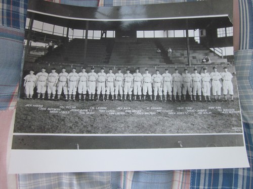 7 Boston Red Sox 1946 American League Champions Team Photo & Tickets (Repro) - Picture 2 of 14
