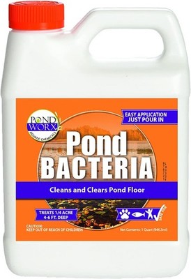 Pondworx Pond Bacteria - Concentrated & Formulated for Large Ponds, Water Featur