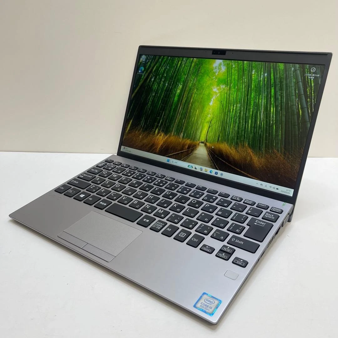 Sony 8 GB RAM PC Laptops & Netbooks 256 GB SSD Capacity for sale