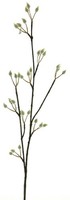 artplants Dekozweig WeidenkäTzchen Nayong Mit BlüTen, Creme, 80 Cm