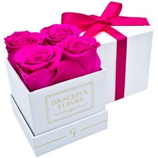 Preserved Roses in a Box 4 Real Long Lasting Flowers Radiant Pink Gift