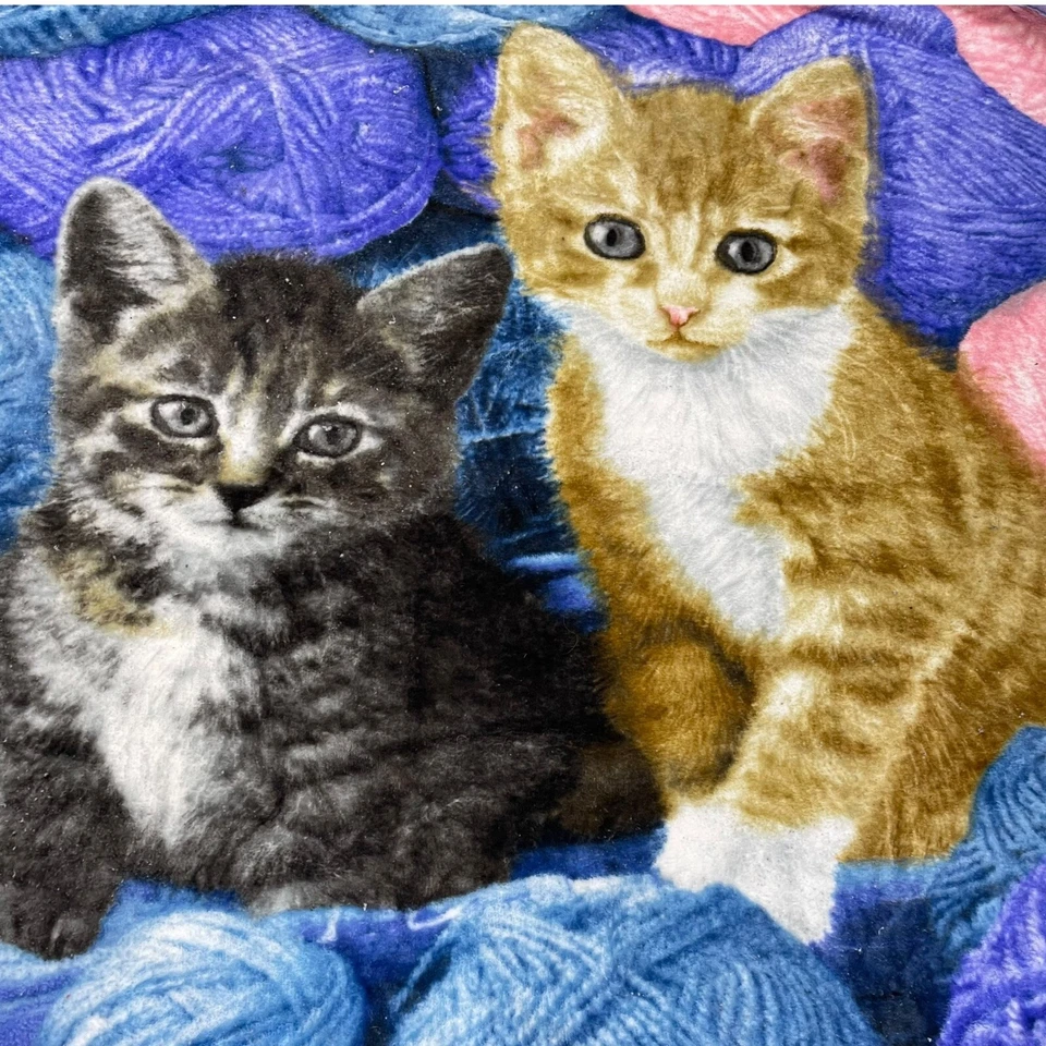 Manta suave naranja gatito gatitos en hilo noroeste 48x61 Greg Cuddiford Foto 3 de 4