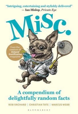 Misc | Delayed Gratification | Buch | 144 S. | Englisch | 2025