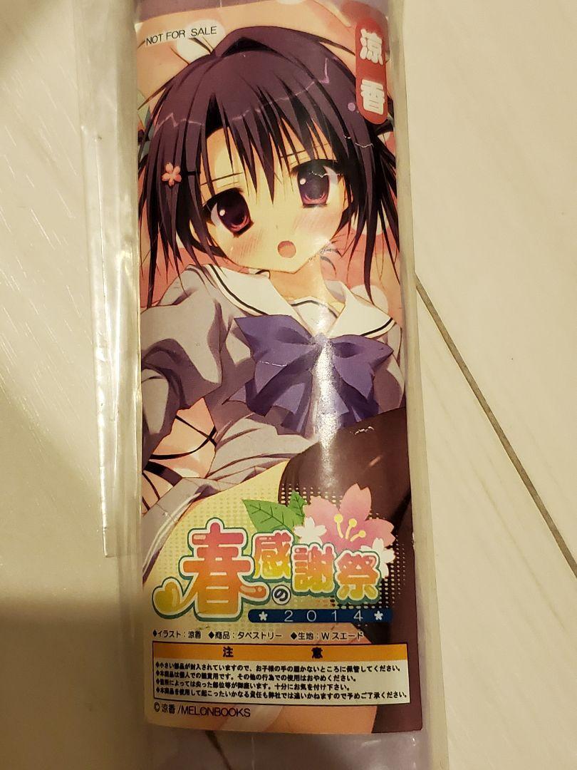 M19/Tapestry Ryoka Japan Anime Game Collector Manga Comics movie eBay