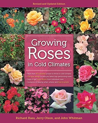 GROWING ROSES IN COLD CLIMATES: REVISED AND UPDATED By Richard Hass & NEW