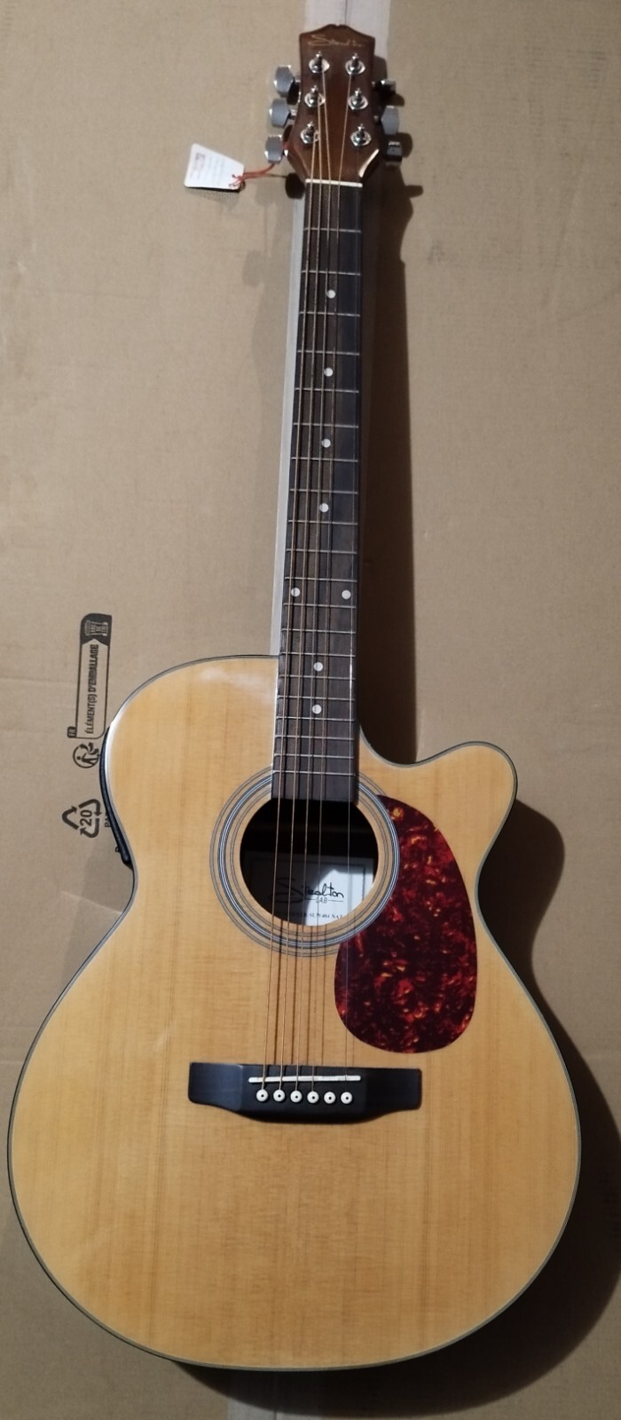 Stealton Chitarra Acustica Elettrificata