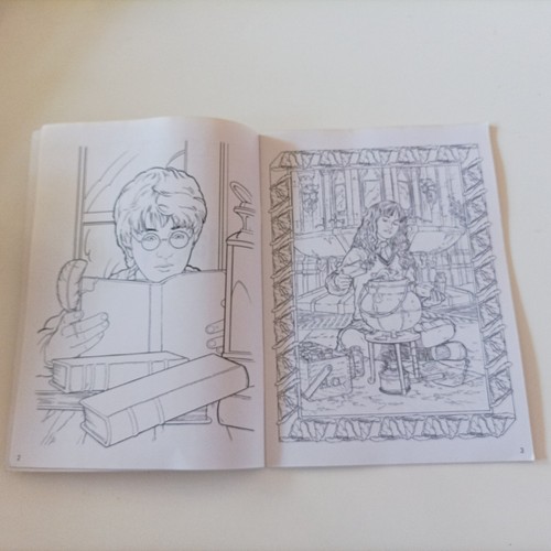Harry Potter Y LA CAMARA SECRETA CUADERNO PARA COLOREAR . NUEVO  2002 24 LAMINAS - Imagen 3 de 4