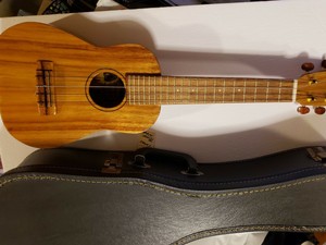 Enjoy Athletic Gear Deals Promotions Sonny D Ukulele Concert With Tenor Neck Hawaiian Koa Body There Are Two Major Benefits Kimronggolawe Com