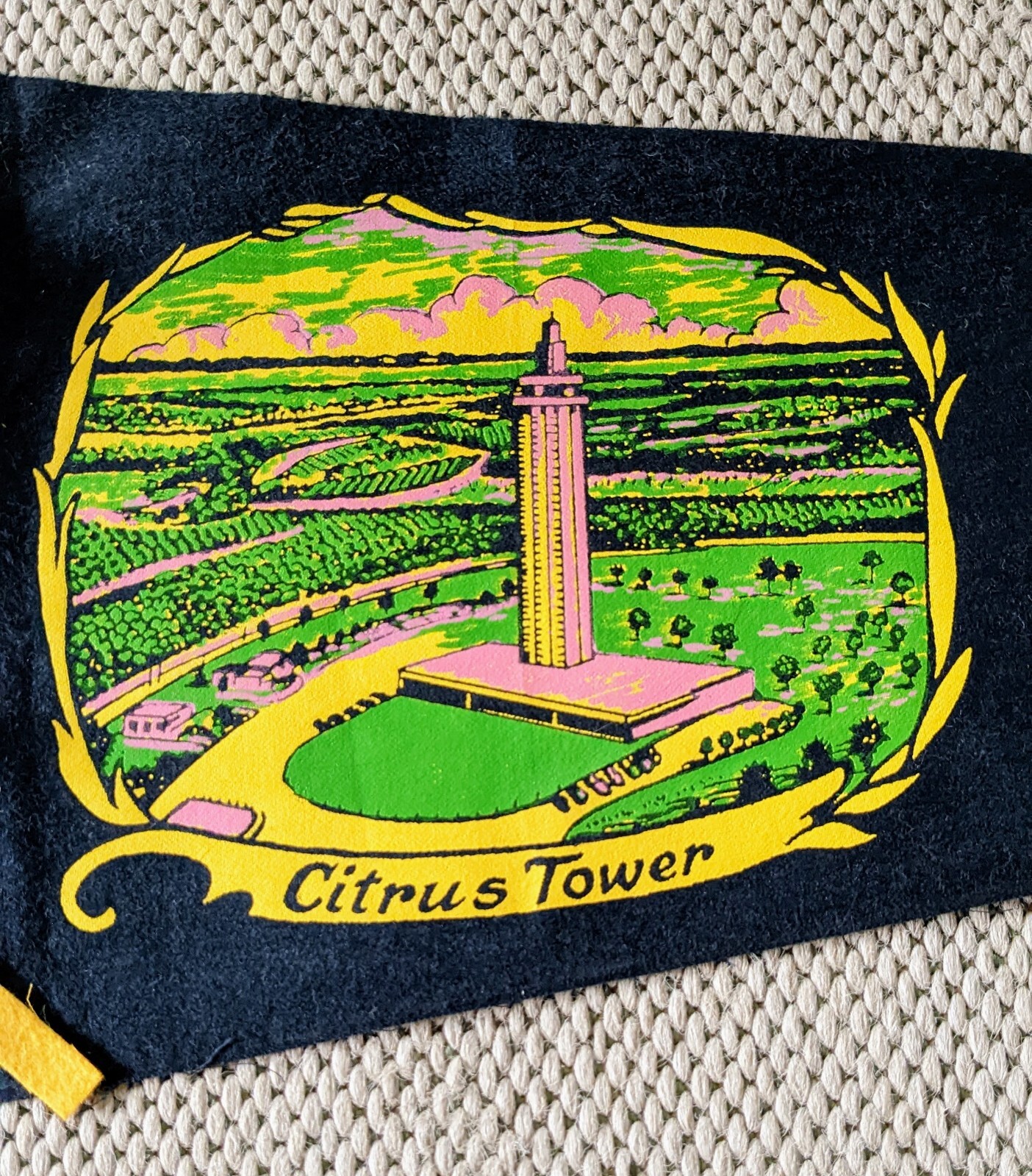 Vintage Travel Souvenir Felt Pennant Flag Citrus Tower Clermont FL 27
