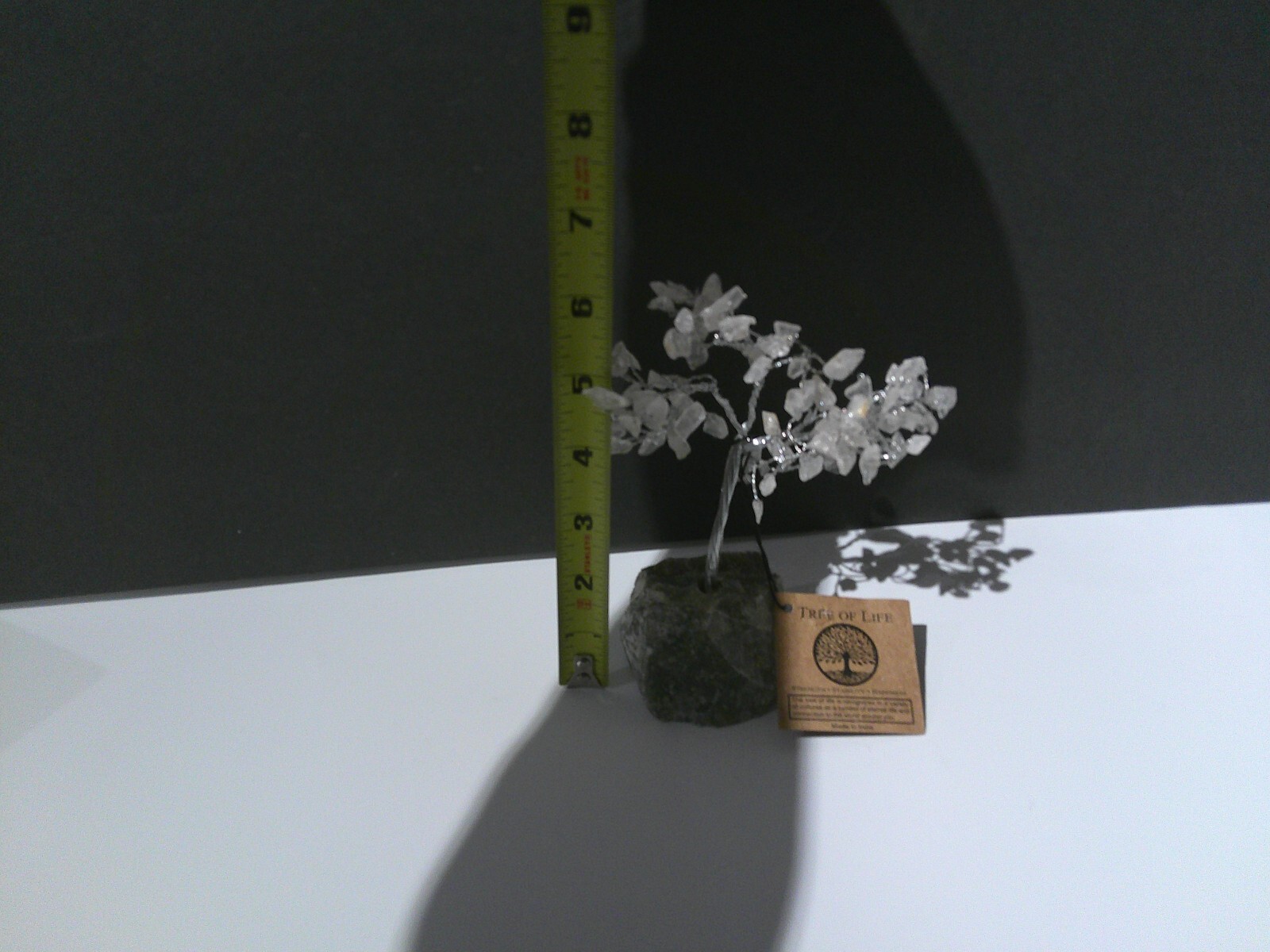 Picture 4 of 4