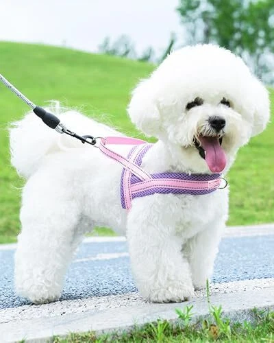 Dog Harness No Pull Dog Harness for Dogs Puppy Harness with Medium Pink