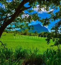 Digital Image Picture Photo Wallpaper Background Nature Landscape Desktop Art