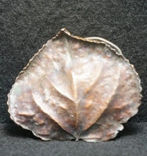 WH05110 *NOS* VINTAGE 1974 CUT-OUT *ASPEN LEAF* NATURE FASHION MENS BELT BUCKLE