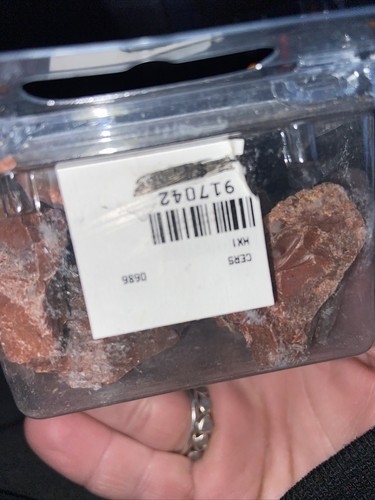 Arizona Petrified wood collector's set from the Forest National Park 1 LB box - Picture 5 of 5