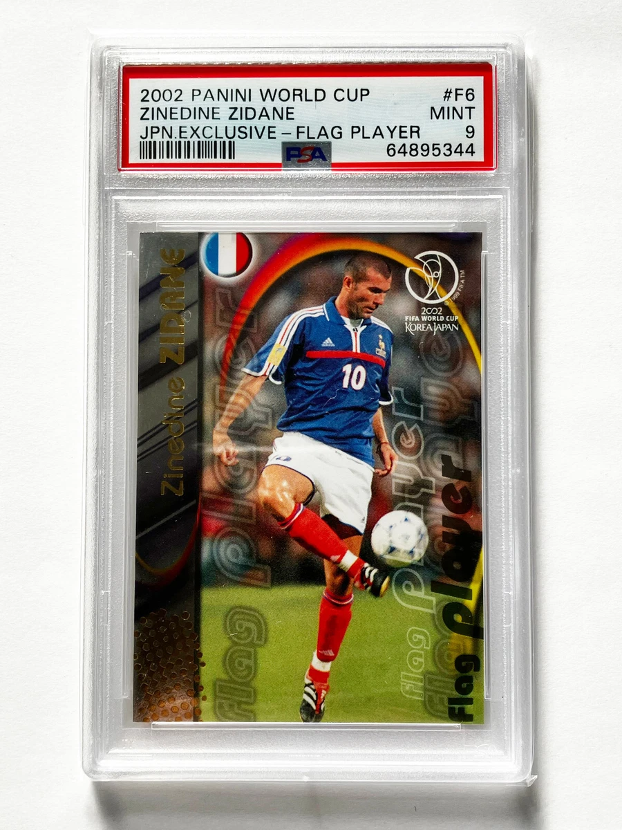 2002 Panini FIFA World Cup - Zinedine Zidane #F6 for sale | eBay