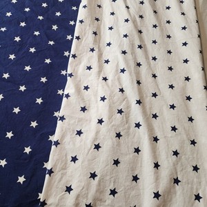 Pottery Barn Kids Organic Cotton Star Duvet Cover FULL Reversible Blue White