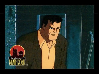 Allies Bruce Wayne 45 The Adventures Of Batman & Robin 1995 Trading Card TCG CCG
