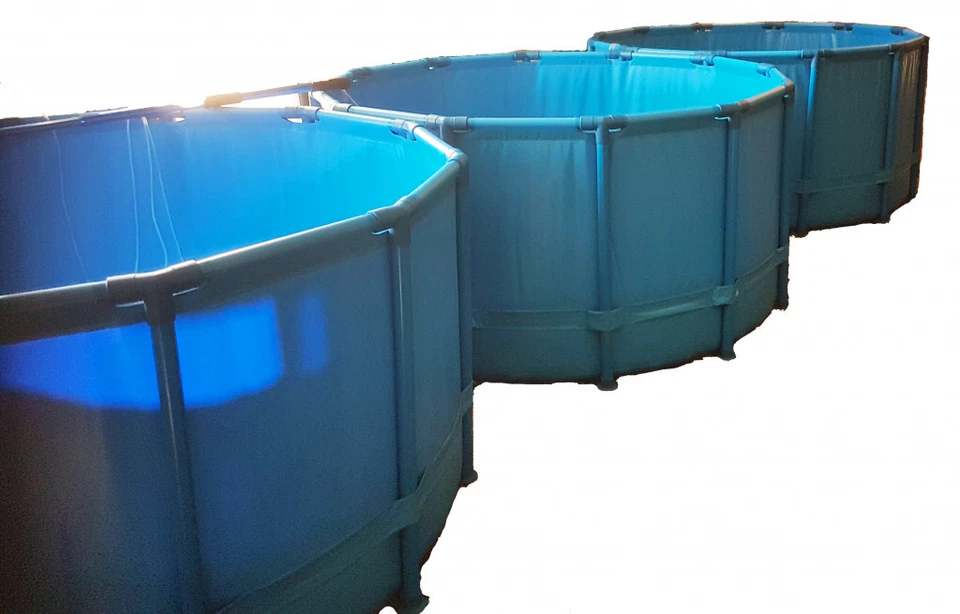 Tanque de retención de peces Koi Cut con cubierta de red negra 3 pies x 2 pies 100 x 60 cm, 106 galones Foto 4 de 4