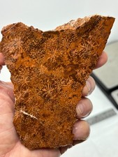 Spider Jasper Slab aka Starburst slab Lapidary Cabbing Combo Ship Avail