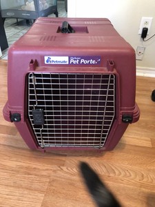 pet porter medium