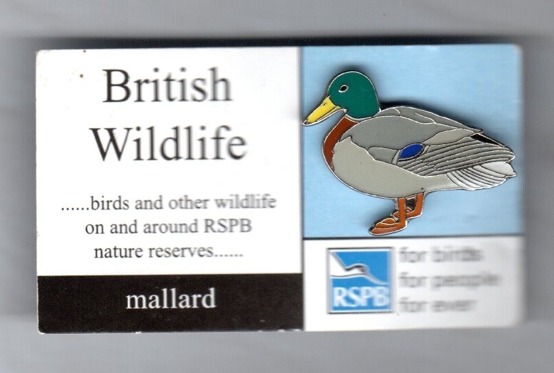 RSPB Pin Badge Mallard (BW) FBFPFE Blue Card Free Postage eBay