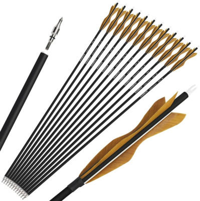 31'' Carbon Arrows Archery Hunting Arrows Targeting Practice Arrows with 5'' Turke
