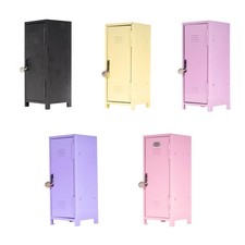 Small Desktop Locker Desktop Storage Organizer Iron with Lock and Key Cute