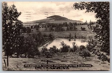Vintage 1911 Liberty NY Walnut Mountain Reservoir Postcard AA76