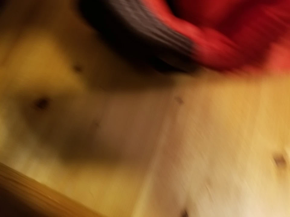 Nuevo con etiquetas Bañador Speedo Niños Talla 4 Naranja y Marrón Dragon Water Shorts Foto 4 de 4