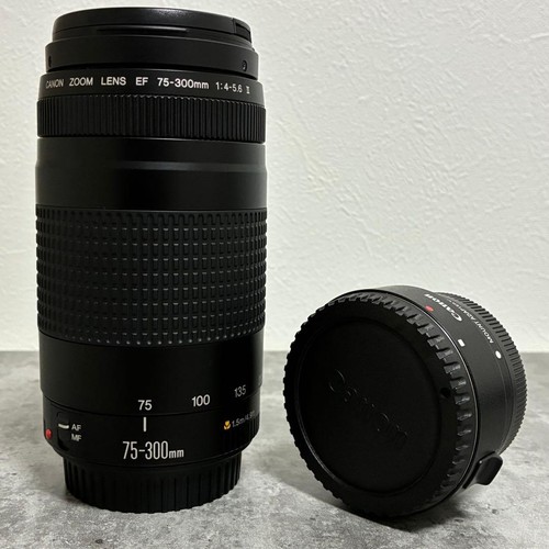 Canon EF 75-300 II EF-EOS 115788