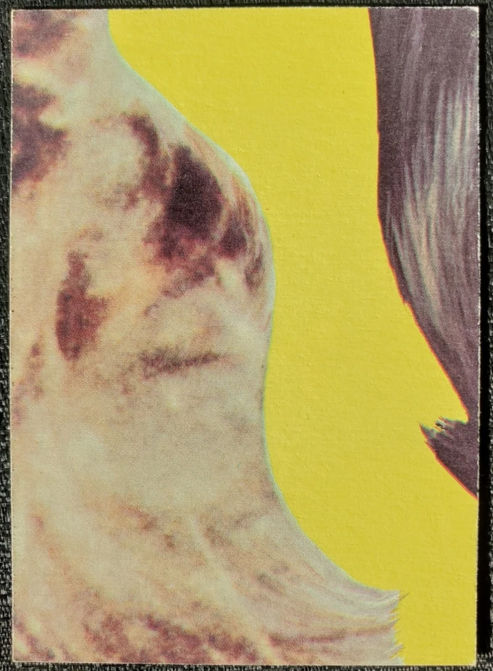 Tarjeta ortográfica 1977 Charlie's Angels Jaclyn Smith #87 Foto 2 de 2