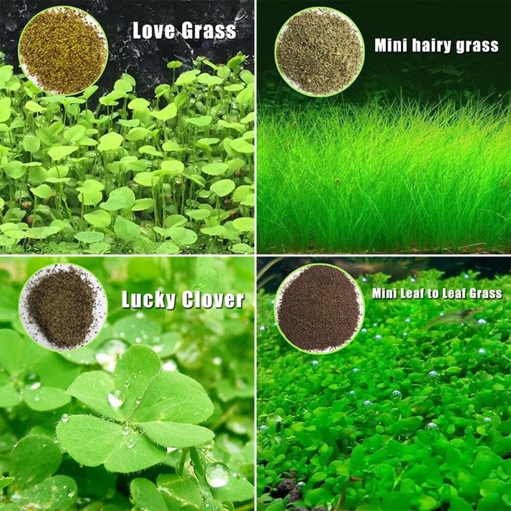 Aquarium Plant Seeds Aquatic Hair Grass Carpet Water Grass Fish Tank Easy Plant