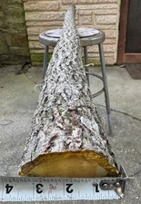 73” Hickory Bow Stave/ Bow Making Wood/ Bow Staves