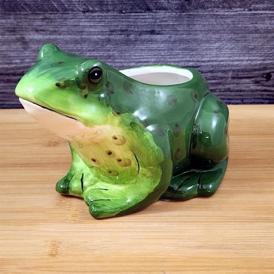 Frog Planter Succulent Plant Pot Holder Green Ceramic Blue Sky