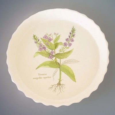 Vintage Poole Keramik Country Quiche/Flan/Tortenplatte 8'' Veronica Blumendesign