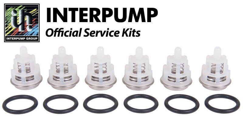 Interpump Oil Water Seal / Valve / Piston Kit (W112 W140 W154 etc  44S18KITBG) for sale online | eBay